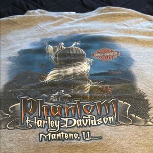 Harley-Davidson Phantom Graphic Tee in Gray
